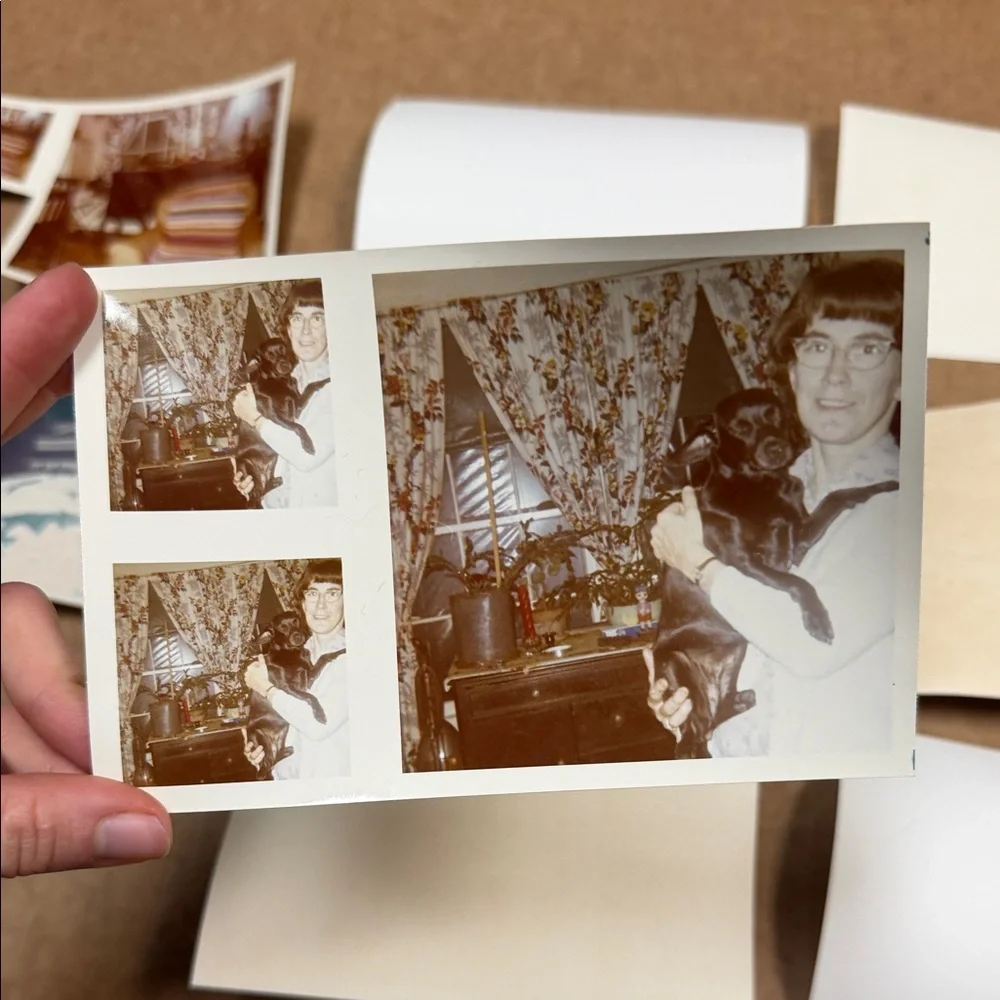 Vintage Photo Collection